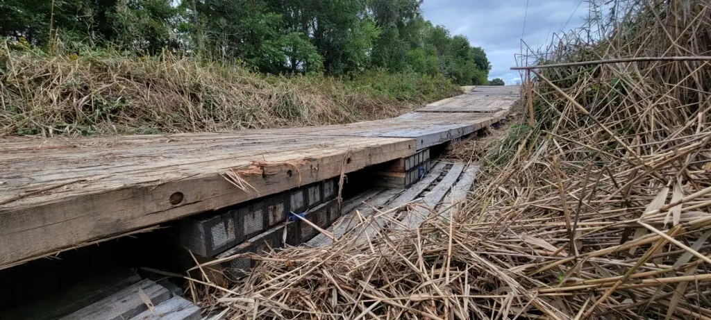 Eucalyptus timber mats in wetlands protecting sensitive Chesapeake Bay habitat