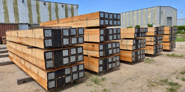 Stacked Eucalyptus timber raw materials in industrial yard