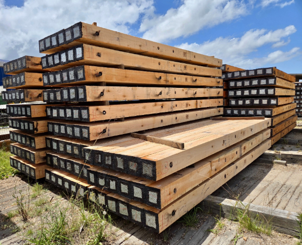 Stacked Eucalyptus timber raw materials in industrial yard